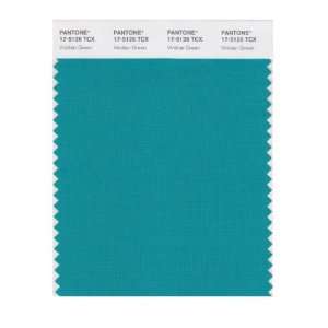   SMART 17 5126X Color Swatch Card, Viridian Green