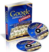 Learn How to Succeed with Google Adwords   PLR Audios  