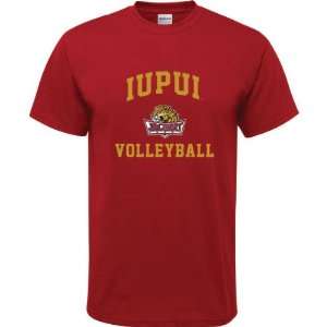  IUPUI Jaguars Cardinal Red Youth Volleyball Arch T Shirt 