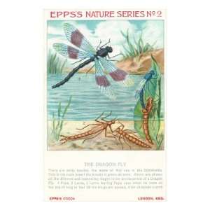  Eppss Nature Series, Dragon Fly Premium Giclee Poster 