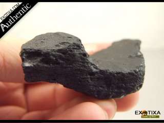 58.4g Australasian MUONG NONG TEKTITE (METEORITE)#mb19  