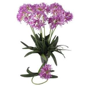  Pink 29 Inch African Lily Stem (Set of 12)
