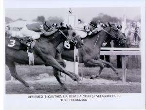 1978 Affirmed/Alydar Horse Racing Photo Preakness SALE  