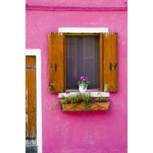  Pot Plant and Vividly Painted Facade, Burano by Diana 