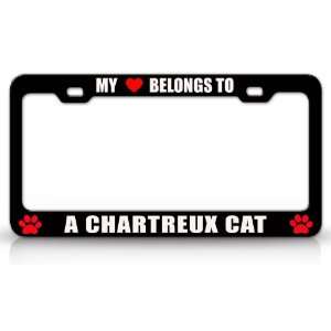  MY HEART BELONGS TO A CHARTREUX Cat Pet Auto License Plate 