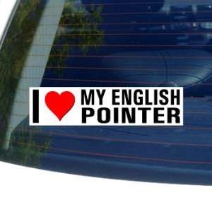  I Love Heart My ENGLISH POINTER   Dog Breed   Window 