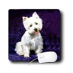    Dogs West Highland Terrier   Westie   Mouse Pads Electronics