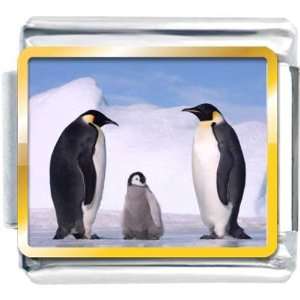   Charm Plated Animal Penguin In Antarctica Photo Pugster Jewelry