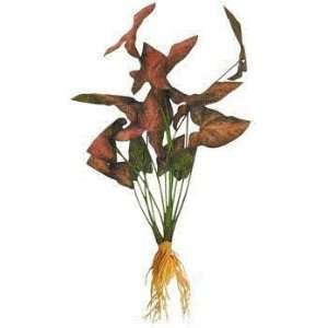  Seagarden Fw Red Arrowhead Large