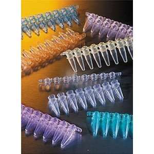  Thermowell GOLD PCR 1 x 8 Cap Strips, Domed, Clear Health 