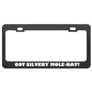 Got Silvery Mole Rat? Animals Pets Black Metal License Plate Frame 