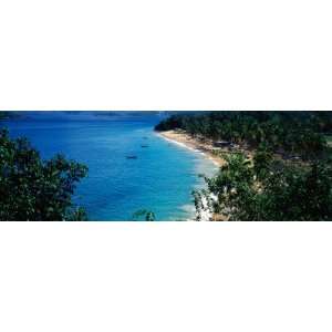 Trees on the Beach, Arapito Beach, Mochima National Park, Anzoategui 