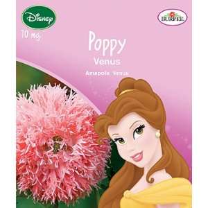  Disney Princess, Poppy, Venus 1 Pkt.