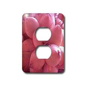  Florene Contemporary   Pink Cocos   Light Switch Covers 