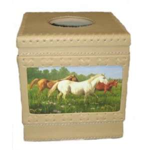   Meadow Western Tissue Kleenex Box Cover Bathroom