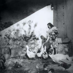Young Farming Girl Attending to the Geese and Ducks in a Poultry Farm 