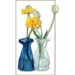  Wonder Vases