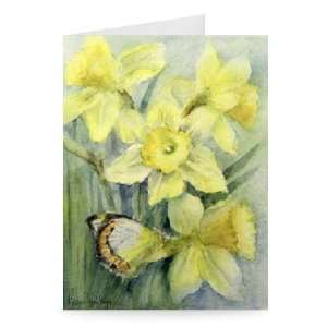  Delias Mysis (Union Jack) Butterfly on   Greeting Card 
