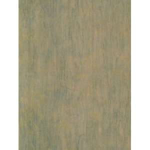  Wallpaper Patton Wallcovering Habitat 2 HB25848