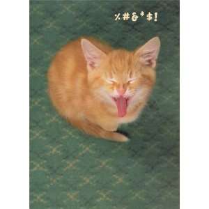  Mad Cat, Cats & Kittens Note Card, 5x7