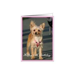  Happy 55th Birthday Chihuahua Dog Card Toys & Games