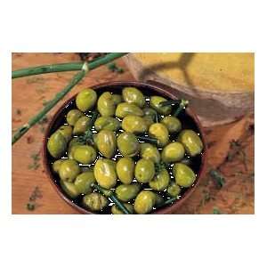  Arnaud Green Olives with Fennel   8.8 oz Health 