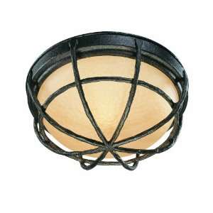  Gig Harbor 13 1/4 Wide Outdoor Wall and Ceiling Light 
