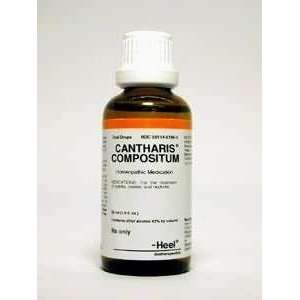  Cantharis Compositum 50 ml   Heel BHI Homeopathics Health 