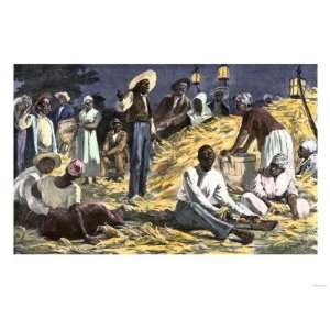 Slaves Social Gathering at a Plantation Corn Husking, 1800s Premium 