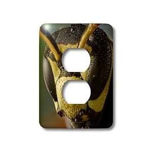   paper wasp   Light Switch Covers   2 plug outlet cover Home