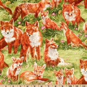  44 Wide Backyard Bandits Red Fox Green Fabric By The 