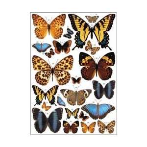  7 Gypsies Color Rubbings 5.25X7.25 Sheet Butterflies; 3 