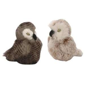  Hoot & Screech Owl Toy