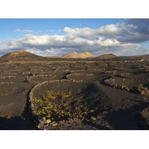  Semi Circles of Lava Rock to Protect Crops From the Strong 