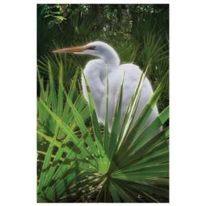   Egret Giclee Poster Print by Steve Hunziker, 38x56