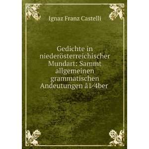   grammatischen Andeutungen Ã£1â4ber . Ignaz Franz Castelli Books