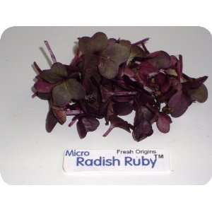 Micro Greens   Ruby Radish   4 x 8 oz  Grocery & Gourmet 