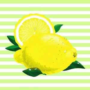  Juicy Lemons Stickers Arts, Crafts & Sewing