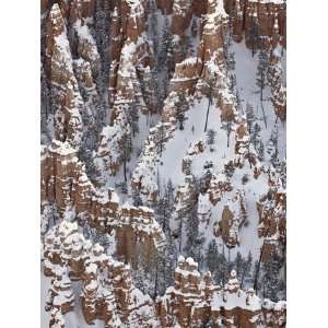  Hoodoos With Fresh Snow, Bryce Canyon National Park, Utah 