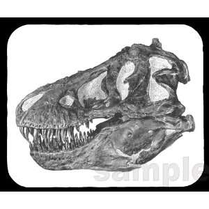  Tyrannosaurus Rex Skull Mouse Pad 