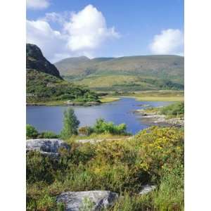 Ring of Kerry Between Upper Lake and Muckross Lake, Munster, Republic 