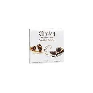 Guylian Sea Shells Selection, 8.82oz Grocery & Gourmet Food