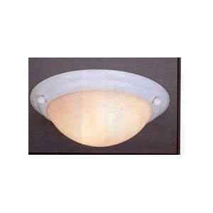  Volume Ceiling Light lunar bay V6852 22