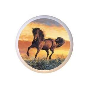  Fire in the Sky Horse Horses Equestrian Drawer Pull Knob 