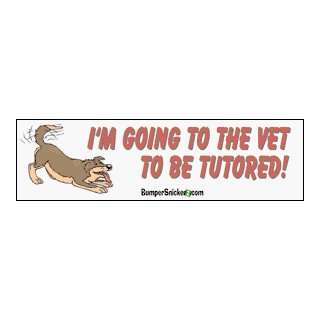  Im going to vet to be tutored   funny bumper stickers 