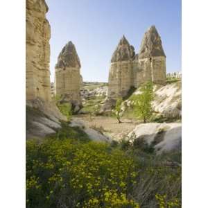 Fairy Chimneys in the Valley known as Love Valley Near Goreme in 
