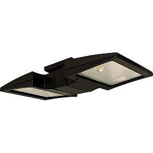  RAB CLED2X20Y Led Ceiling 2 X 20W Warm Led, Bronze Color 