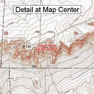  USGS Topographic Quadrangle Map   Squaw Spring, Wyoming 
