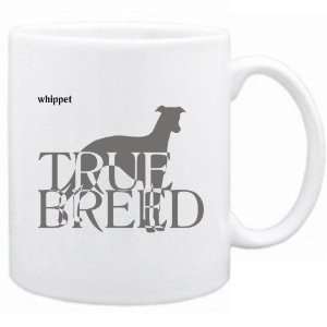  New  Whippet  The True Breed  Mug Dog