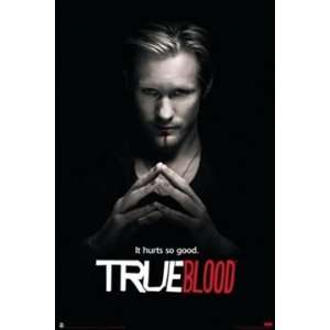  True Blood Eric Hurts So Good HBO Vampire TV Poster 24 x 